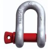 BOMBAY SAFETY D Shackles Screw Pin